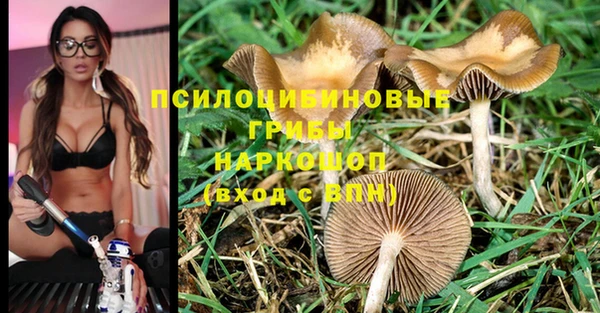 дживик Алексин