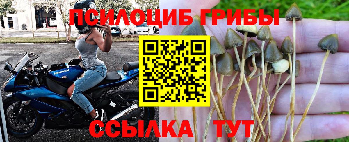 Галлюциногенные грибы MAGIC MUSHROOMS Людиново