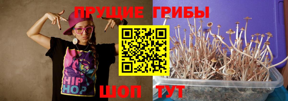 Псилоцибиновые грибы Cubensis  Вход с VPN  где найти наркотики  Людиново 