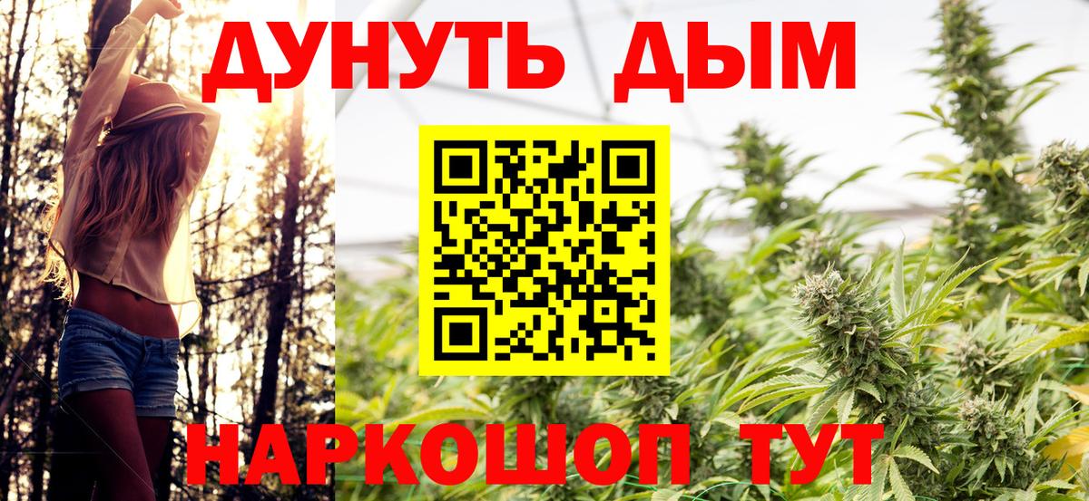 Галлюциногенные грибы Людиново